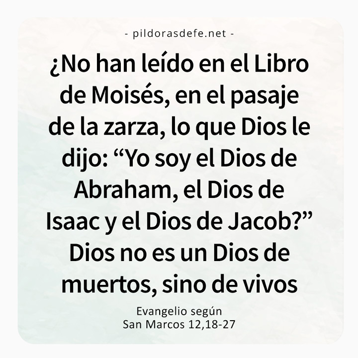 Cita bíblica del Evangelio de hoy (Marcos 12,18-27): Dios no es un Dios de muertos sino de vivos