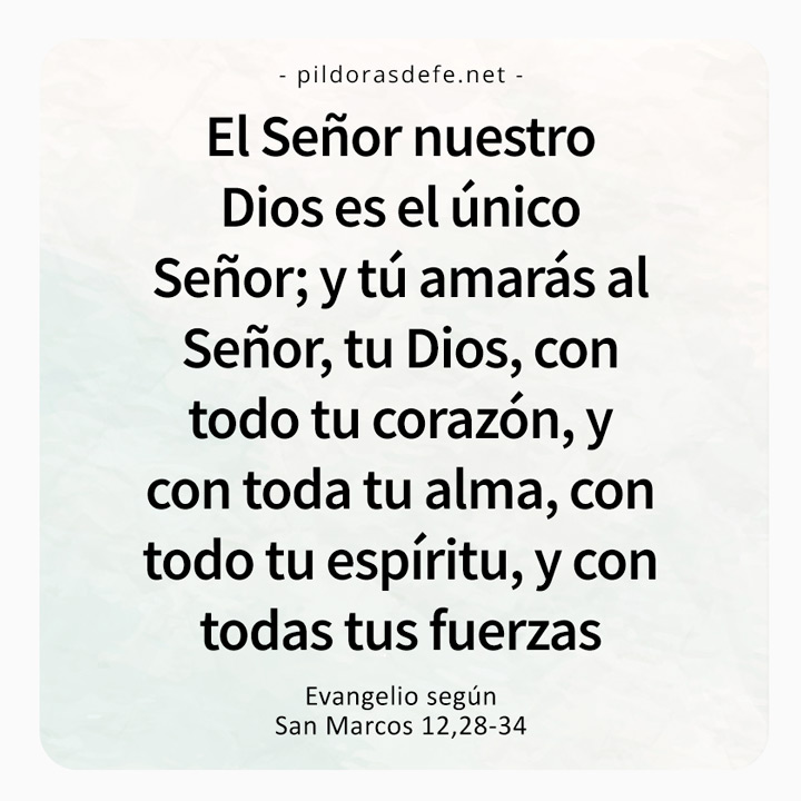 Cita bíblica del Evangelio de hoy (Marcos 12,28-34): Amarás al Señor, tu Dios, con todo tu corazón y toda tu alma