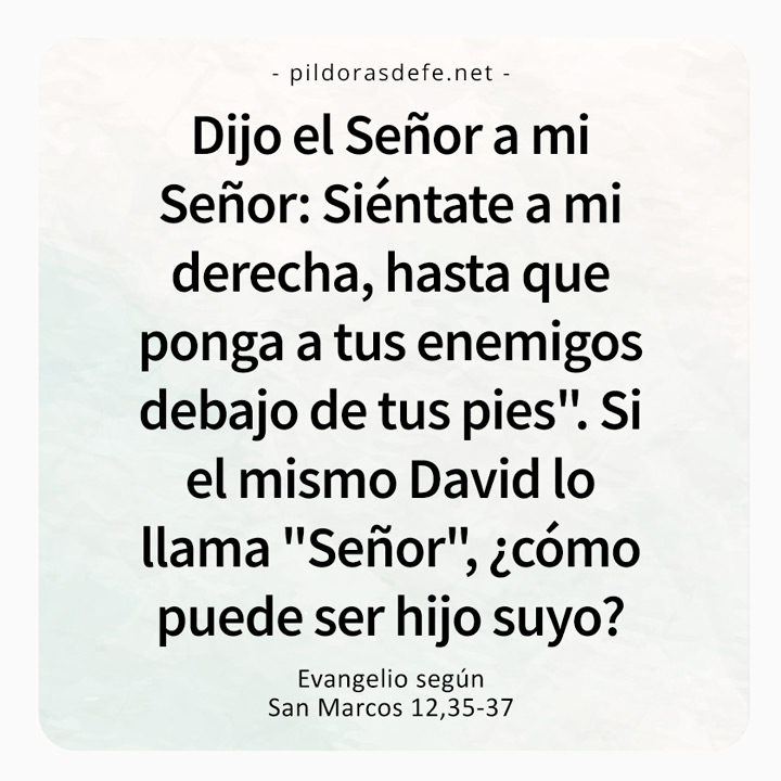 Cita bíblica del Evangelio de hoy (Marcos 12,35-37): Dijo el Señor a mi Señor: siéntate a mi derecha