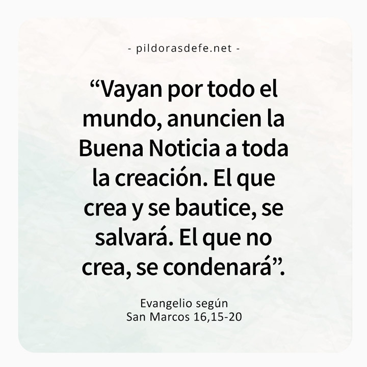 Cita bíblica Marcos 16,15-20. Evangelio de hoy: Vayan por todo el mundo y anuncien la Buena Noticia