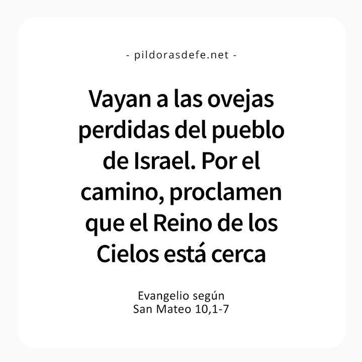 Cita bíblica del Evangelio de hoy (Mateo 10,1-7): ¡Vayan a las ovejas perdidas de la casa de israel!