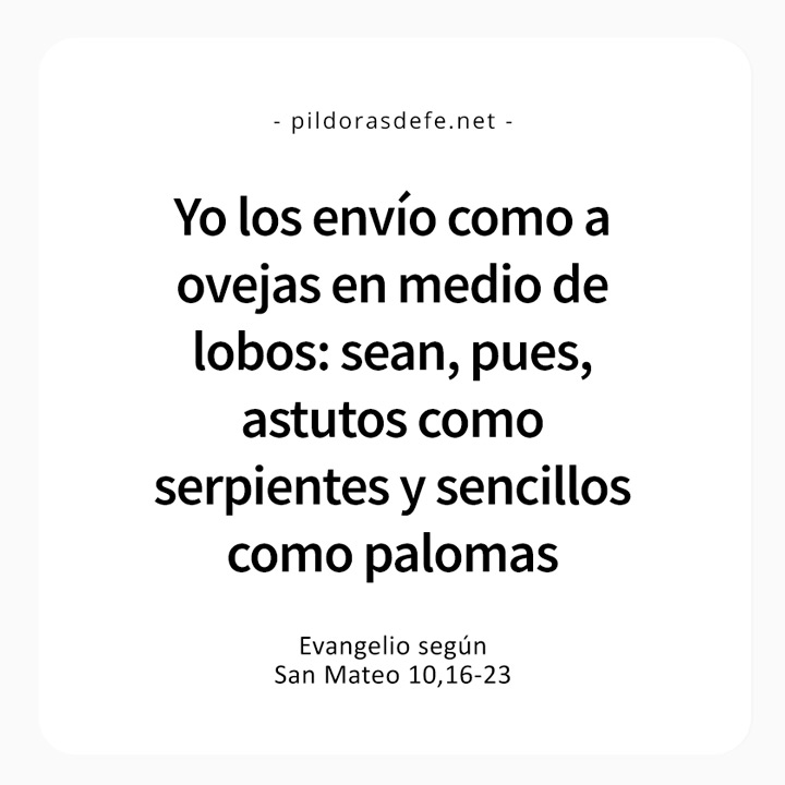 Cita bíblica del Evangelio de hoy (Mateo 10,16-23): Sean astutos como serpientes y mansos como palomas