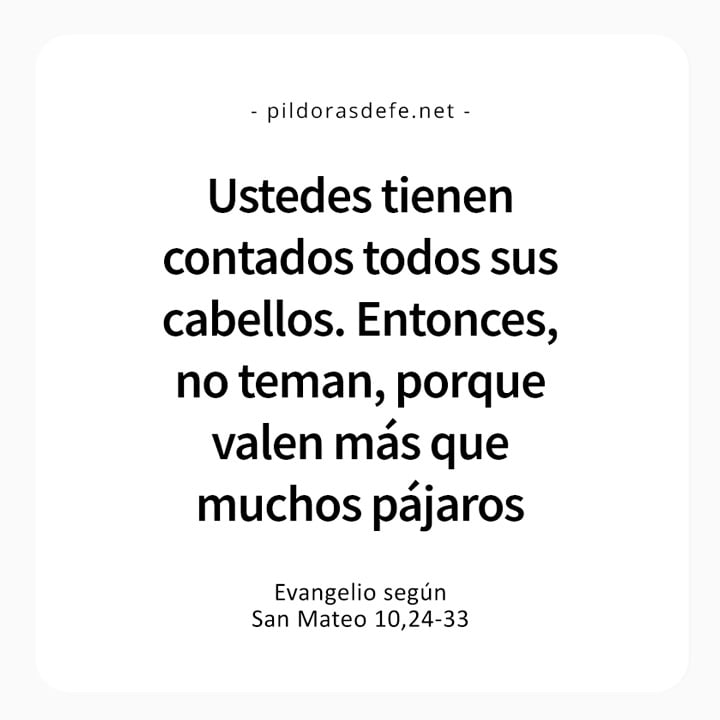 Cita bíblica del Evangelio de hoy (Mateo 10,24-33): No teman, ustedes valen mucho más que los pájaros