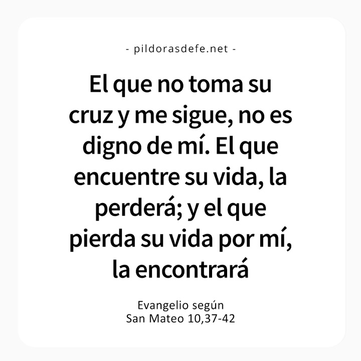 Cita bíblica del Evangelio de hoy (Mateo 10,37-42): El que pierda su vida por mí, la encontrará