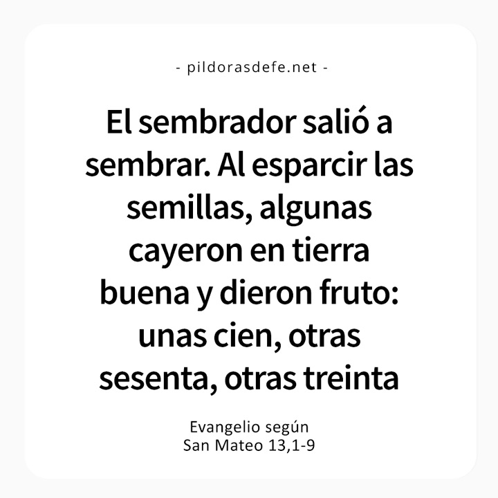 Cita bíblica del Evangelio de hoy (Mateo 13,1-9: El sembrador salio a sembrar, algunas cayeron en tierra buena y dieron fruto