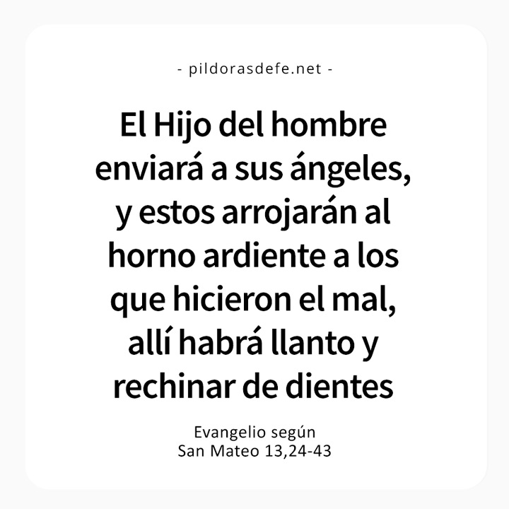 Cita bíblica del Evangelio de hoy (Mateo 13,24-43): Serán arrojados al horno ardiente, allí habrá llanto y rechinar de dientes