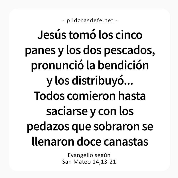 Cita bíblica del Evangelio de hoy (Mateo 14,13-21): Jesús realiza el milagro de la multiplicación de los panes y peces