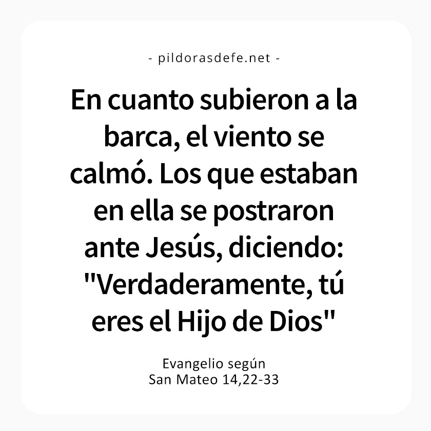Cita bíblica del Evangelio de hoy (Mateo 14,22-33): ¡Verdaderamente Tú eres el Hijo de Dios!