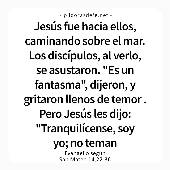 Cita bíblica del Evangelio de hoy (Mateo 14,22-36): Jesús camina sobre el mar