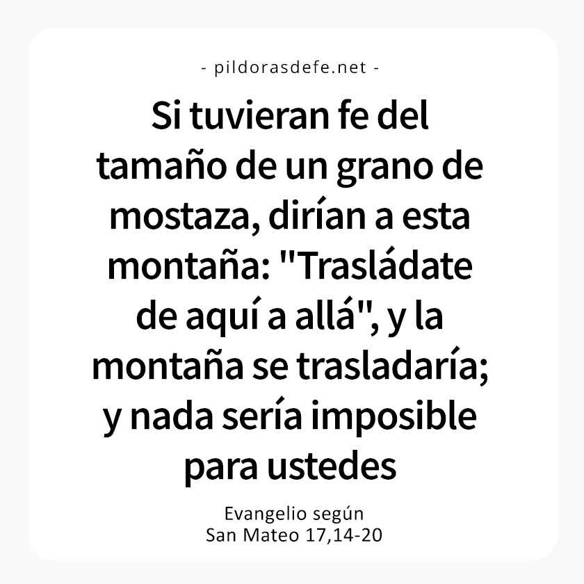 Cita bíblica del Evangelio de hoy (Mateo 17,14-20): Si tuvieran fe del tamaño de un grano de mostaza