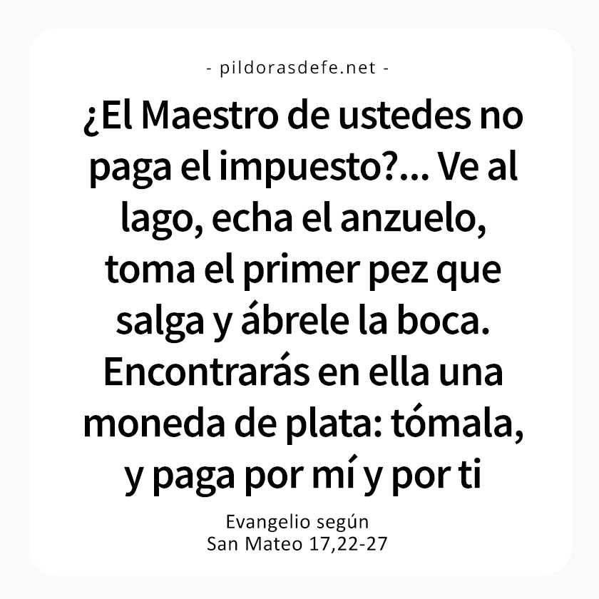 Cita bíblica del Evangelio de hoy (Mateo 17,22-27): ¿El Maestro de ustedes no paga impuestos?
