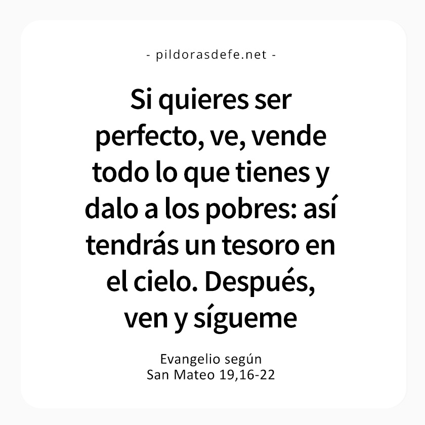 Cita bíblica del Evangelio de hoy (Mateo 19,16-22): Si quieres ser perfecto, vende lo que tienes y dalo a los pobres