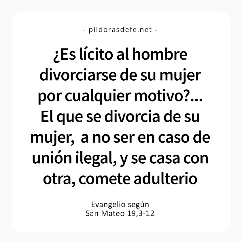 Cita bíblica del Evangelio de hoy (Mateo 19,3-12): ¡El que se divorcia de su mujer y se casa con otra comete adulterio