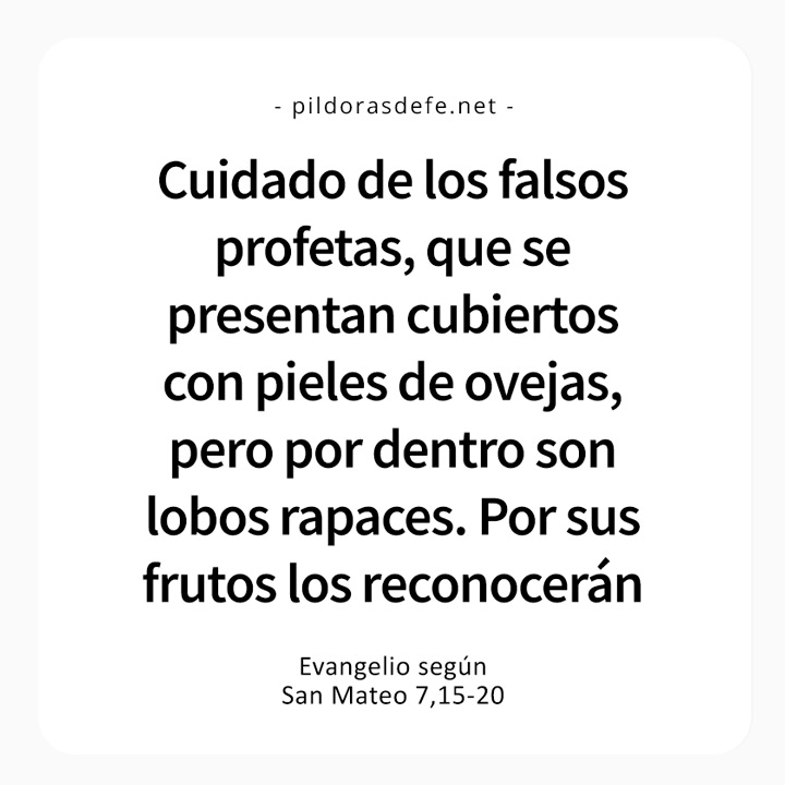 Cita bíblica del Evangelio de hoy (Mateo 7,15-20): Cuidado con los falsos profetas, por sus frutos los reconocerán