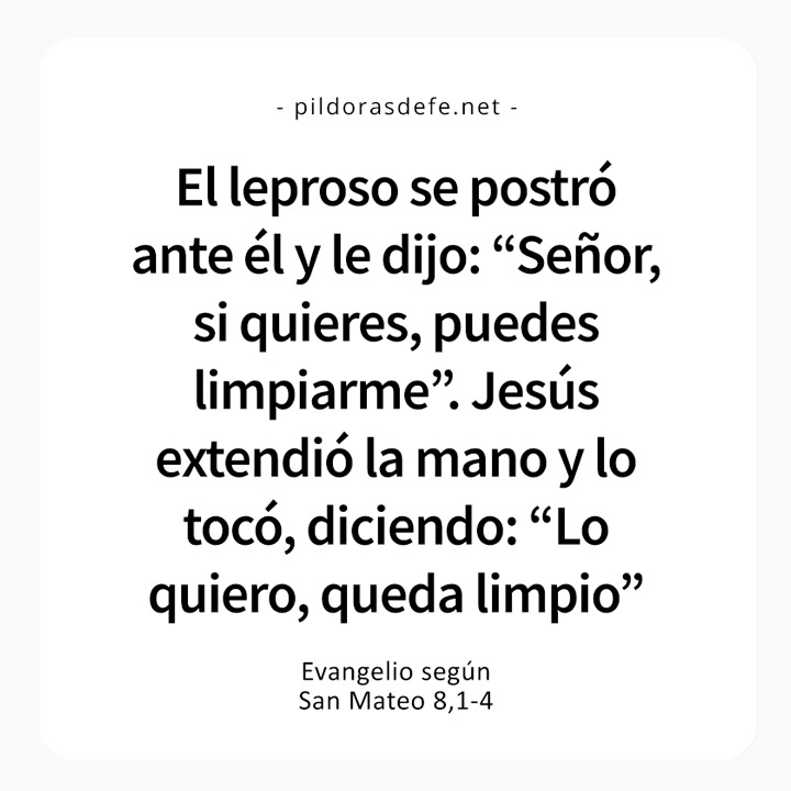 Cita bíblica del Evangelio de hoy (Mateo 8,1-4): Señor. si quieres puedes limpiarme