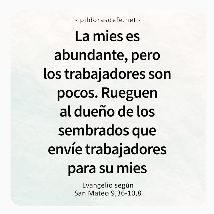 Cita bíblica del Evangelio de hoy (Mateo 9,36-10,8): La mies es abundante y los trabajadores pocos