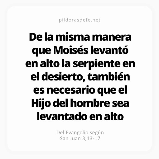 Cita bíblica Evangelio de hoy (Juan 3,13-17): El Hijo del hombre debe ser levantado en lo alto