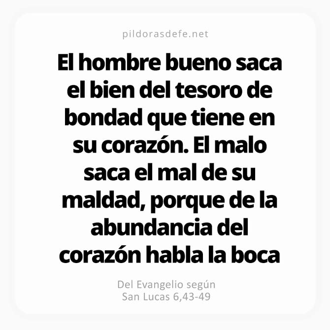Cita bíblica Evangelio de hoy (Lucas 6,43-49): De la abundancia del corazón habla la boca