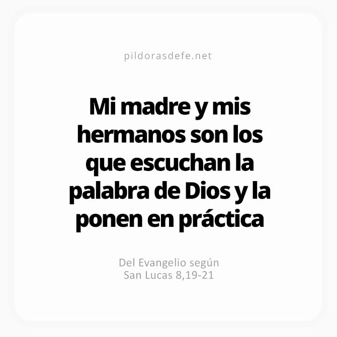 Cita bíblica Evangelio de hoy (Lucas 8,19-21): Mi Madre y mis hermanos son los que escuchan la Palabra de Dios