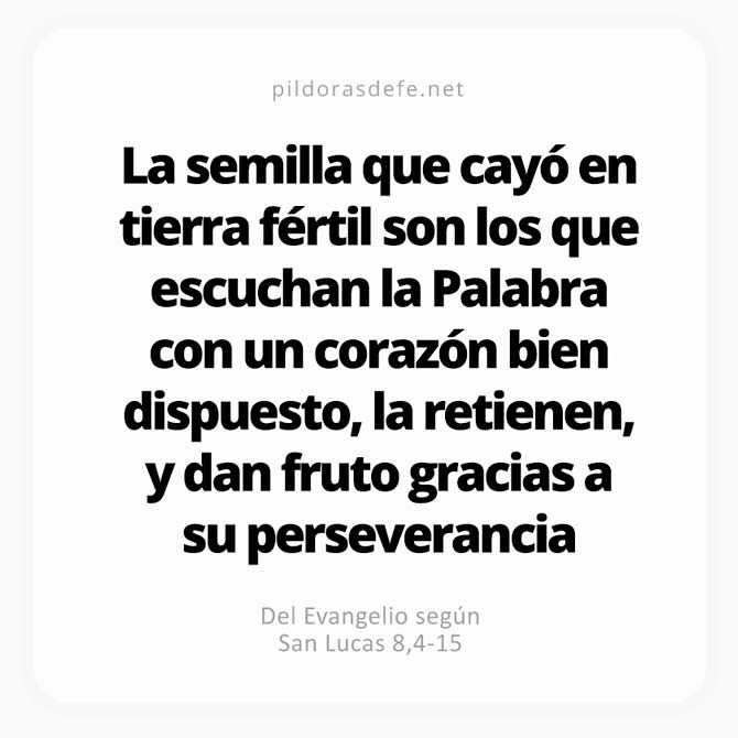Cita bíblica Evangelio de hoy (Lucas 8,4-15): La semilla que cayó en tierra fértil dio mucho fruto