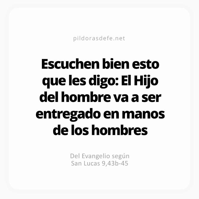 Cita bíblica Evangelio de hoy (Lucas 9-43-45): El Hijo del hombre va a ser entregado a los hombres