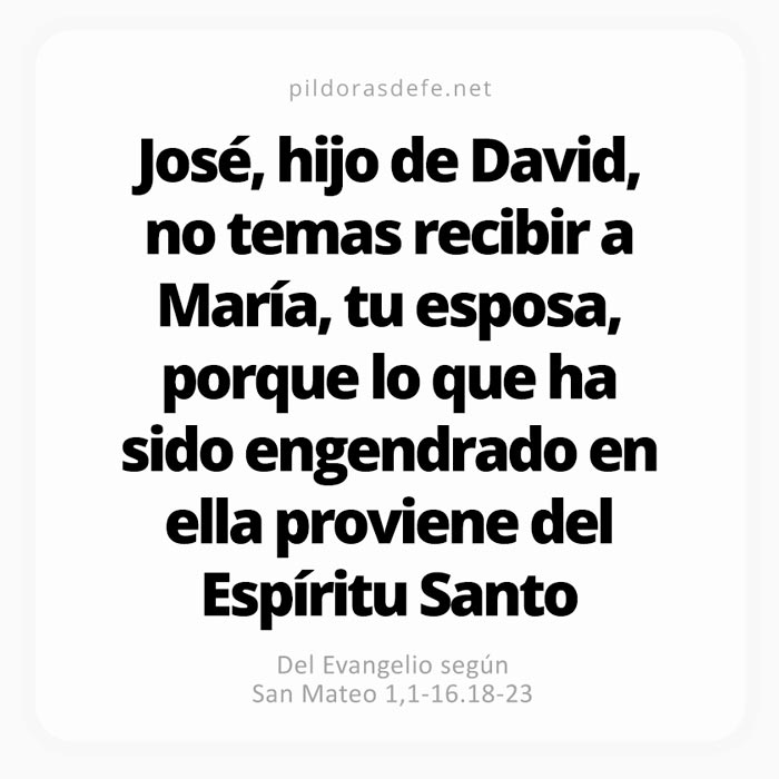 Cita bíblica Evangelio de hoy (Mateo 1,1-16.18-23): María, tu esposa, tendrá un hijo por obra del Espíritu Santo
