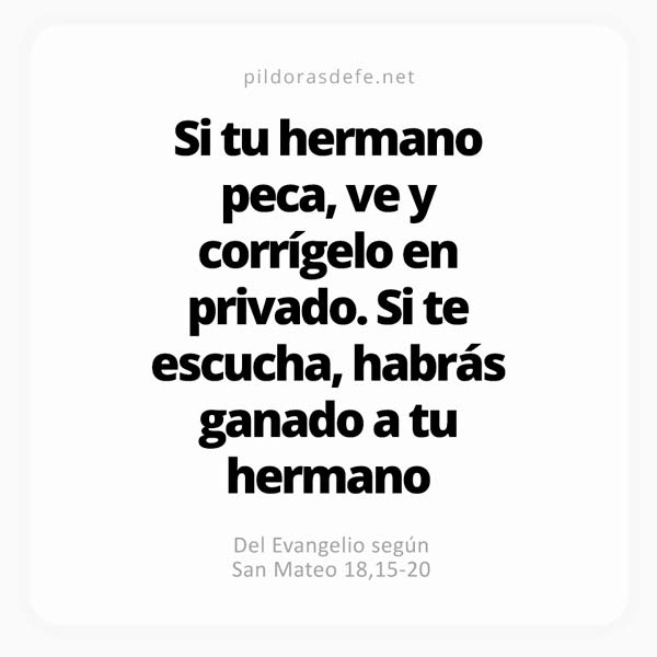 Cita bíblica Evangelio de hoy (Mateo 18,15-20): Si tu hermano peca ve y corrígelo en privado