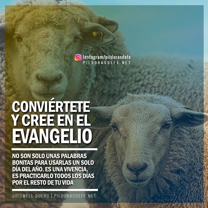 Conviértete y cree en el evangelio