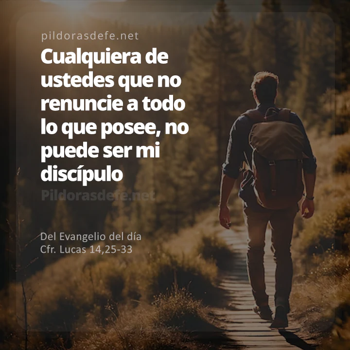 Cita bíblica Evangelio de hoy (Lucas 14,25-33): El que quiera ser mi discípulo debe renunciar a todo lo que posee