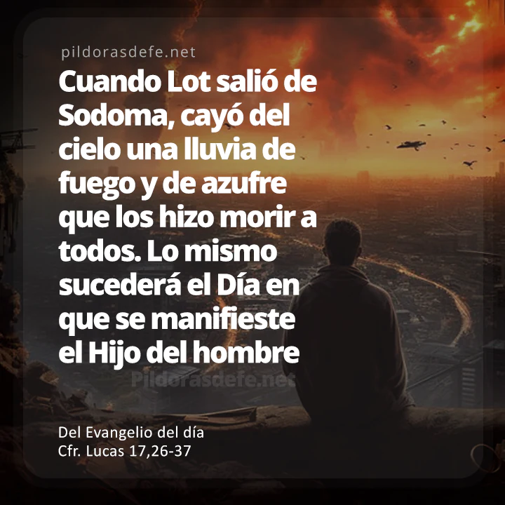 lucas 17 26-37 catholic net