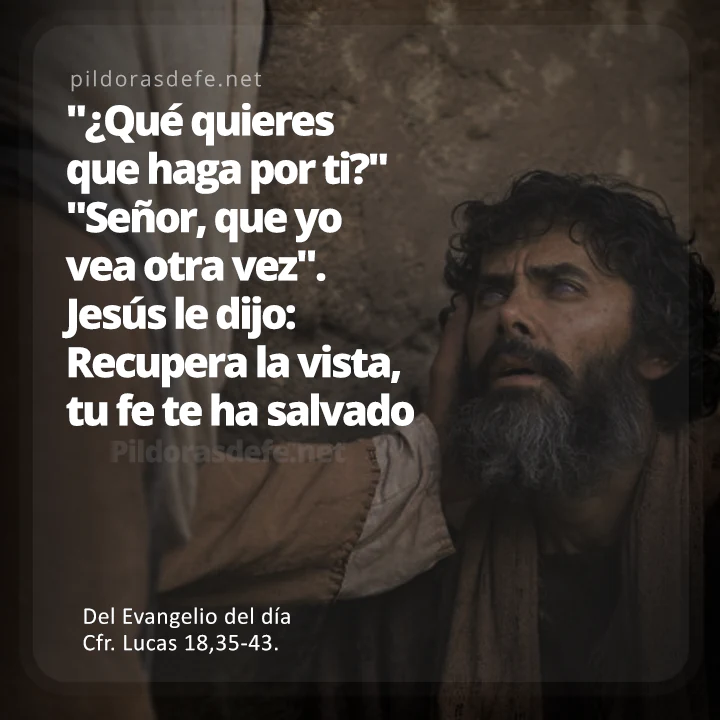 Cita bíblica Evangelio de hoy (Lucas 18,35-43): ¿Qué quieres que haga por ti? Señor, que vea otra vez