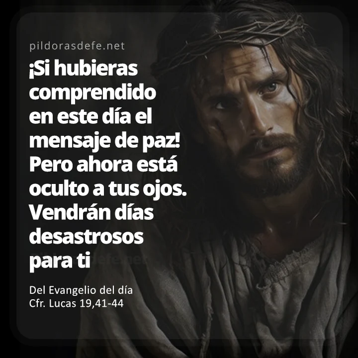 Cita bíblica Evangelio de hoy (Lucas 19,41-44): ¡Si hubieras comprendido en este día el mensaje de paz!