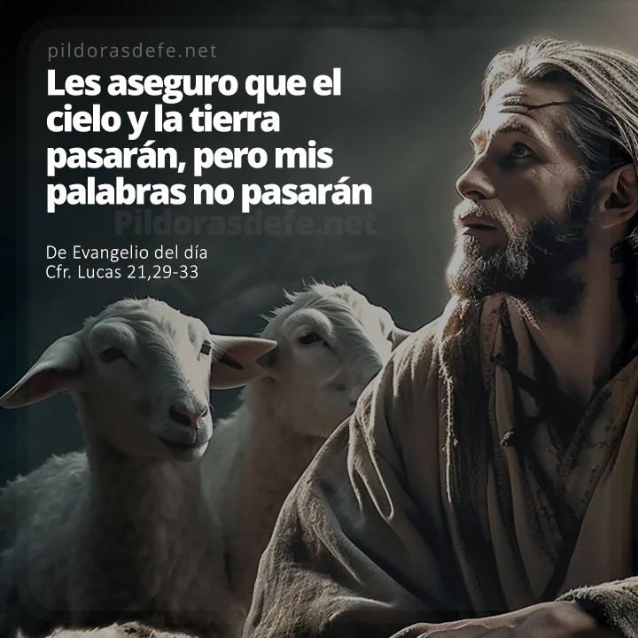Cita bíblica Evangelio de hoy (Lucas 21.29-33): Cielo y tierra pasarán, pero mis palabras no pasarán