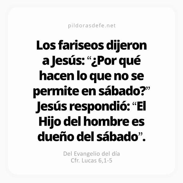 Cita bíblica Evangelio de hoy (Lucas 6,1-5): El Hijo del hombre es Dueño del sábado