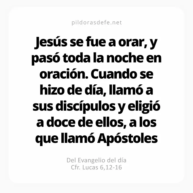 Cita bíblica Evangelio de hoy (Lucas 6.12-16): Jesús oró y eligió a Doce, a los que llamó Apóstoles
