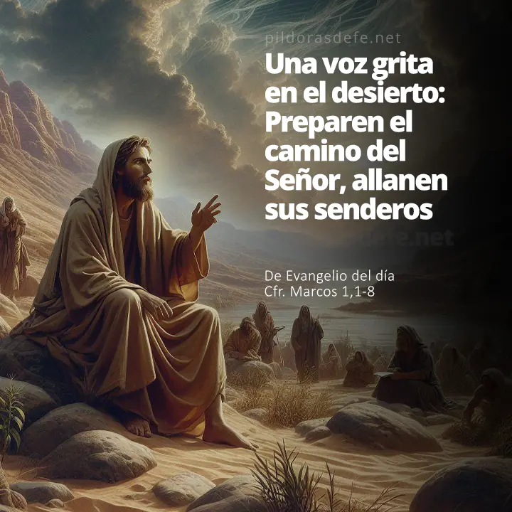 Cita bíblica Evangelio de hoy (Marcos 1,1-8): Preparen el camino del Señor