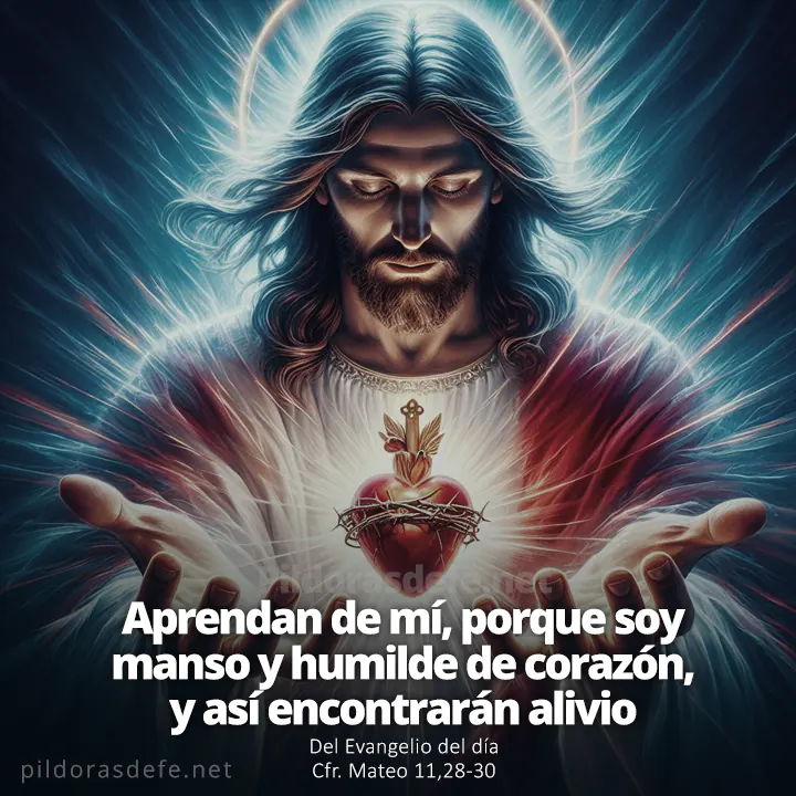 Evangelio de hoy (Mateo 11,28-30): Aprendan de mí, Soy manso y humilde de corazón