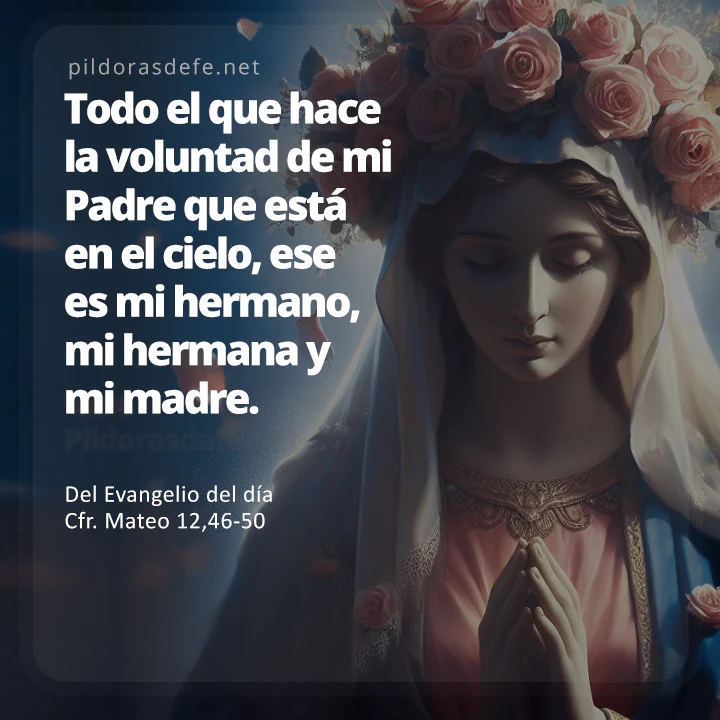 Cita bíblica Evangelio de hoy (Mateo 12,46-50): El que hace la voluntad de Dios es mi hermano, mi hermana y mi madre