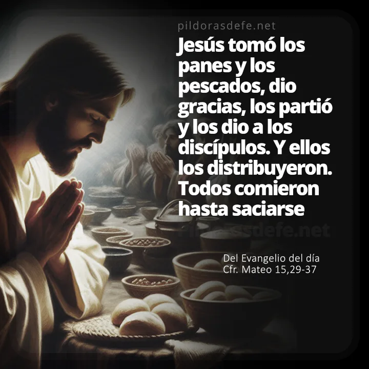 Cita bíblica Evangelio de hoy (Mateo 15,29-37): Jesús tomó los panes y los peces y mando que los distribuyeran