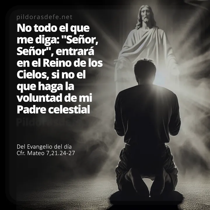 Cita bíblica Evangelio de hoy (Mateo 7,21.24-27): No todo el que me diga Señor, Señor, entrará al Cielo