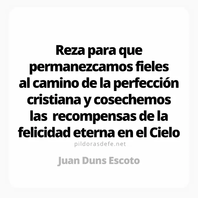 Frase de Juan Duns Escoto: Reza para que permanezcamos fieles al camino de la perfección