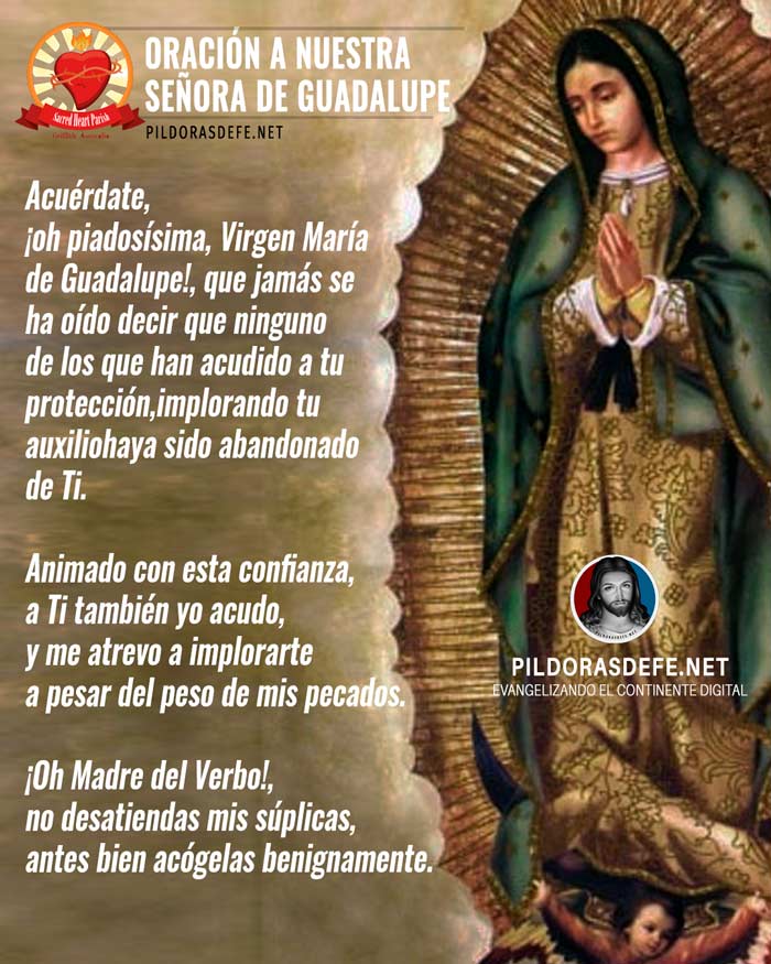 Oración a Nuestra Señora de Guadalupe ante su imagen