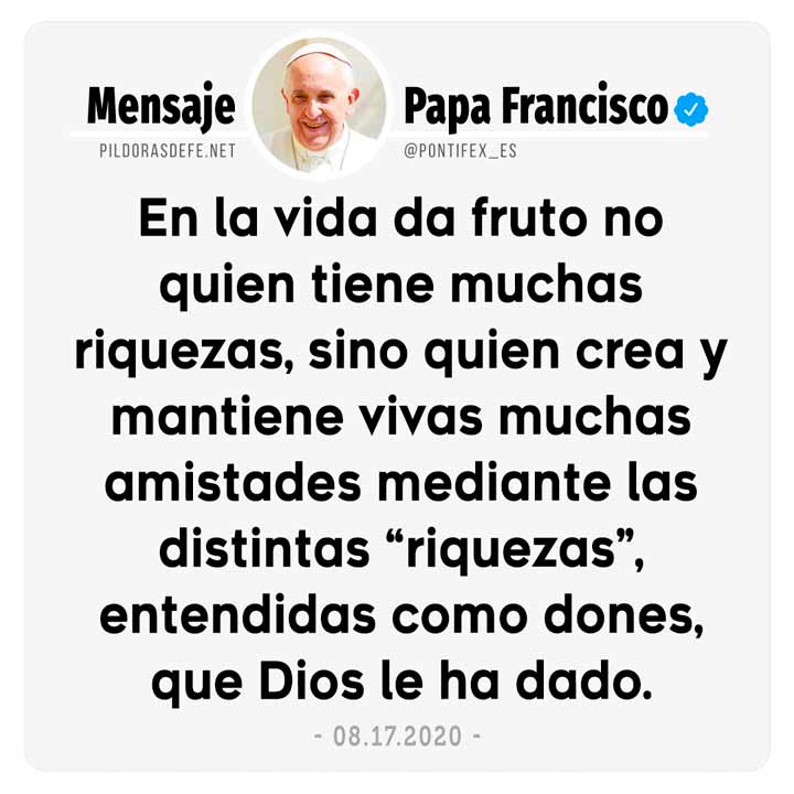 Papa Francisco: No da fruto quien tiene muchas riquezas, sino quien crea y mantiene vivas muchas amistades