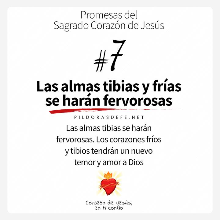 Las 12 promesas del Sagrado Corazón de Jesús (Promesa #7)