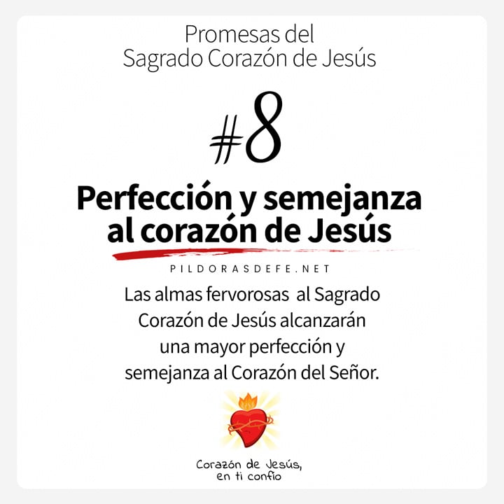Las 12 promesas del Sagrado Corazón de Jesús (Promesa #8)