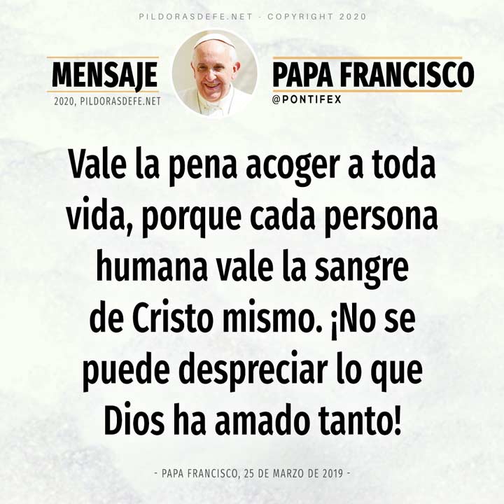 Reflexión de hoy 27 de mayo por el Papa Francisco