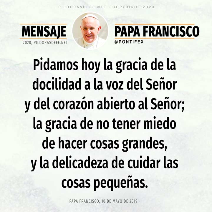 Reflexión de hoy 29 de mayo por el Papa Francisco