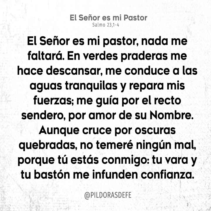 Oración con el salmo 23 para superar el miedo y la ansiedad