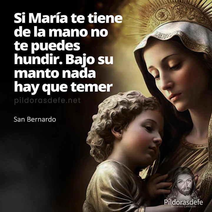 San Bernardo sobre la Virgen María. Si María te tiene de la mano o te puedes hundir