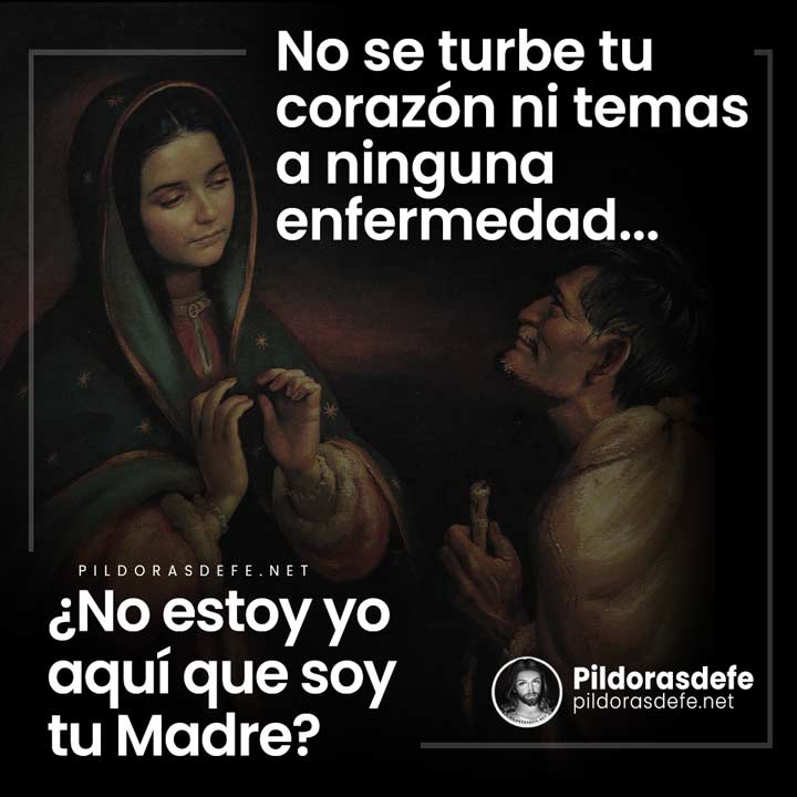 Virgen de Guadalupe a San Juan Diego: ¿No estoy yo aquí que soy tu Madre?